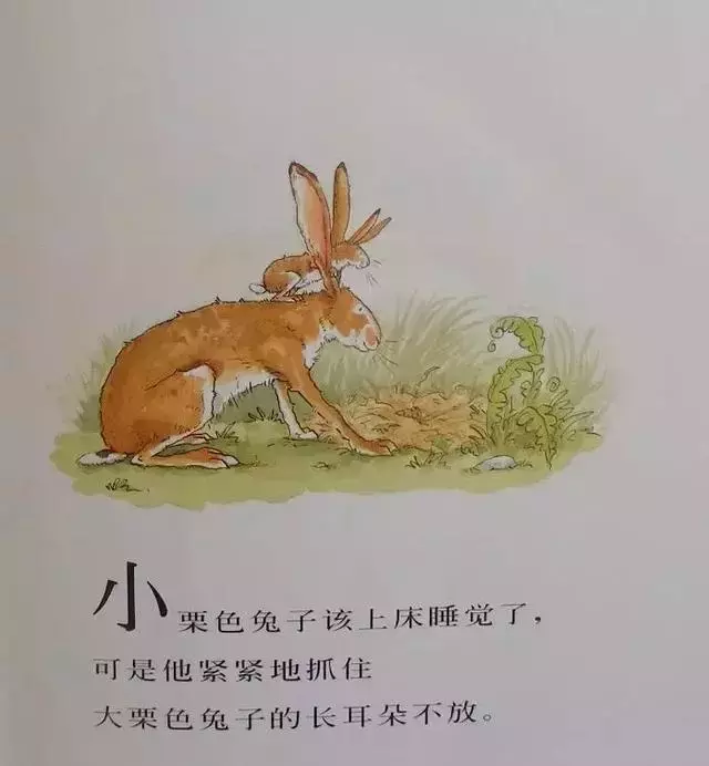 小栗色兔子该上床睡觉了，可是他紧紧底抓住大栗色兔子的长耳朵不放。